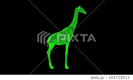 3D giraffe on black background. Object made of shimmering particles. Wild animals concept. Protection of the environment. For title, text, presentation. 3d animation. 104719013