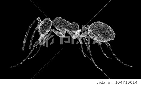 3D ant on black background. Object made of shimmering particles. Wild animals concept. Protection of the environment. For title, text, presentation. 3d animation. 104719014