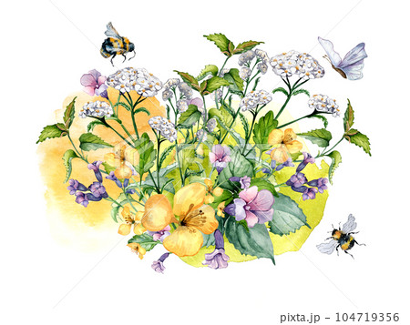 Bouquet of wild medicinal plant, bee watercolor illustration isolated on white background. Achillea millefolium, nettle, pulmonaria, celanine flower hand drawn. Design for label, package, postcard Bouquet of wild medicinal plant, bee watercolor illustration isolated on white background. Achillea millefolium, nettle, pulmonaria, celanine flower hand drawn. Design for label, package, postcard 104719356