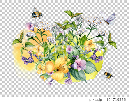 Bouquet of wild medicinal plant, bee watercolor illustration isolated on white background. Achillea millefolium, nettle, pulmonaria, celanine flower hand drawn. Design for label, package, postcard Bouquet of wild medicinal plant, bee watercolor illustration isolated on white background. Achillea millefolium, nettle, pulmonaria, celanine flower hand drawn. Design for label, package, postcard 104719356