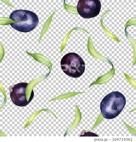 Acai berries and palm leaves watercolor seamless pattern isolated on white. Exotic amazon small purple berries, tropical fruit hand drawn. Design for packaging, wrapping, textile, background, paper 104719362