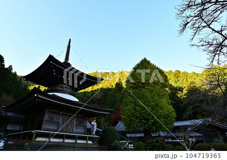 秋の宇土観音 秋の宇土観音 104719365