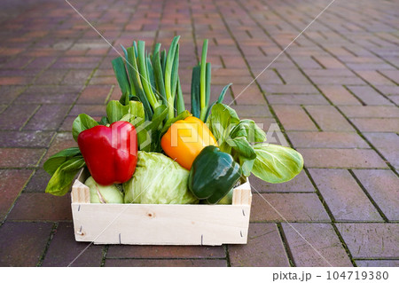 Wooden container with fresh vegetables. Organic food. Wooden container with fresh vegetables. Organic food. 104719380
