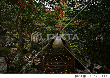 竹谷山渓谷の紅葉 竹谷山渓谷の紅葉 104720113