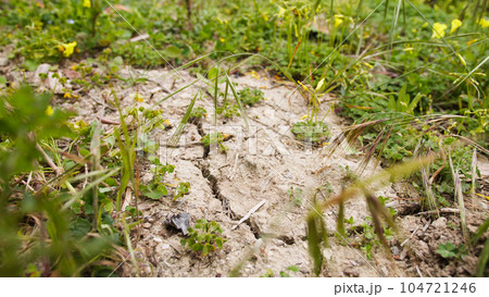 Barren and cracked ground due to lack of water 104721246