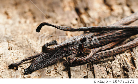 Precious vanilla pods of tropical origin 104721273