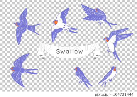Retro print style hand drawn swallow line drawing illustration set 104721444