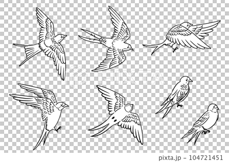 Hand-drawn swallow line drawing illustration set_monochrome 104721451