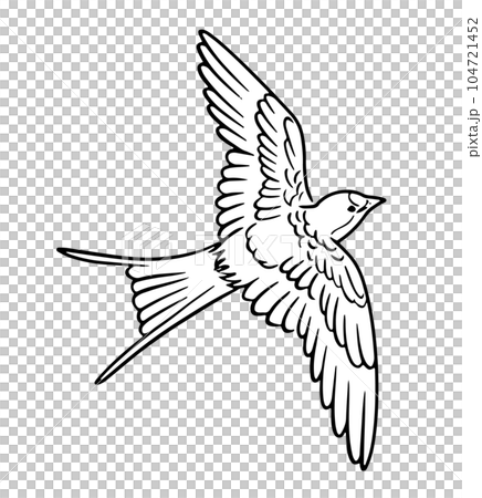Hand drawn line drawing illustration of a flying swallow_monochrome 104721452