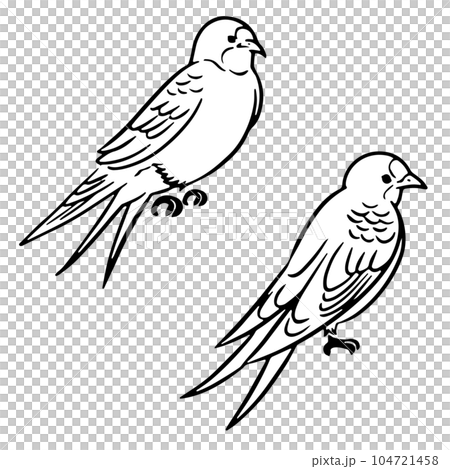 手繪線條畫插圖棲息在樹上的燕子_單色 手繪線條畫插圖棲息在樹上的燕子_單色 104721458