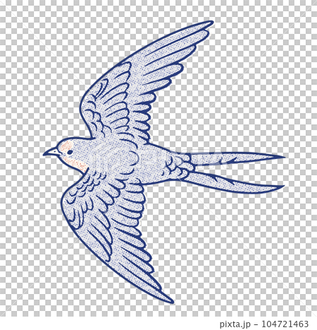 hand drawn line drawing illustration of retro flying swallow hand drawn line drawing illustration of retro flying swallow 104721463