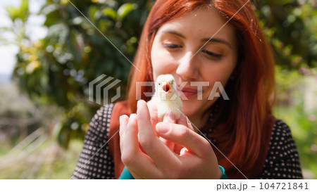 Young girl caresses little chick. Young girl caresses little chick. 104721841