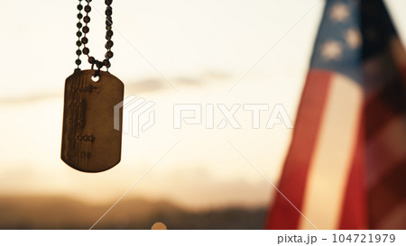 Silhouette of military metallic plate against memorial day american flag Silhouette of military metallic plate against memorial day american flag 104721979