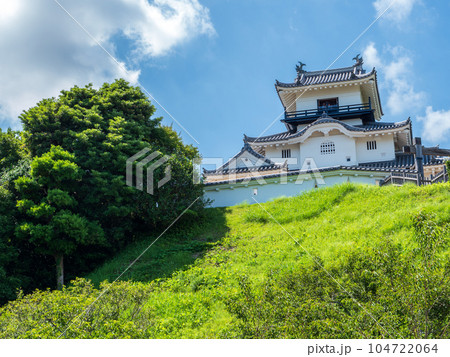 夏の青空と掛川城天守 静岡県掛川市 夏の青空と掛川城天守 静岡県掛川市 104722064