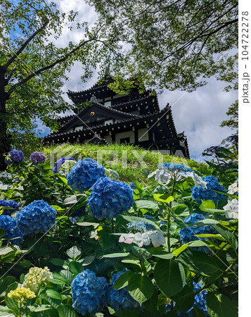 青い紫陽花と青空の高田城三重櫓 青い紫陽花と青空の高田城三重櫓 104722278