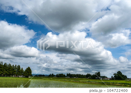 日本の田園風景と屋敷森と菓子パンのような雲 104722400