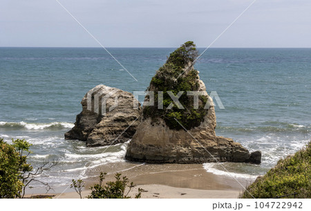 茨城県日立市　東滑川海浜緑地のグミ島 104722942