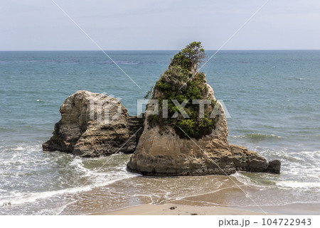 茨城県日立市 東滑川海浜緑地のグミ島 茨城県日立市 東滑川海浜緑地のグミ島 104722943