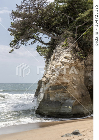 茨城県日立市　鵜の島海岸の浜辺の岩 104723125