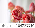 Several pink dried rose buds against light background. Group of beautiful dead flowers close-up as a concept of passed time, sadness, depression 104723310