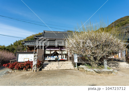 白梅と本堂 樹齢450年以上の臥龍梅(がりゅうばい)観光名所 普光寺(ふこうじ)福岡県大牟田市 白梅と本堂 樹齢450年以上の臥龍梅(がりゅうばい)観光名所 普光寺(ふこうじ)福岡県大牟田市 104723712
