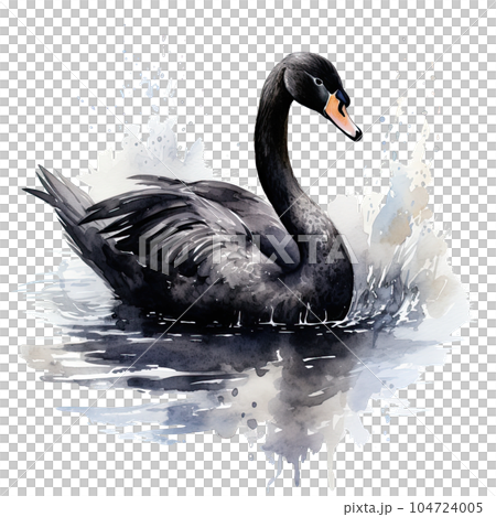 Black swan watercolor. Illustration AI Generative 104724005