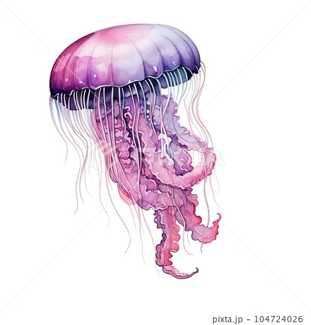 Watercolor jellyfish isolated. Illustration AI Generative 104724026