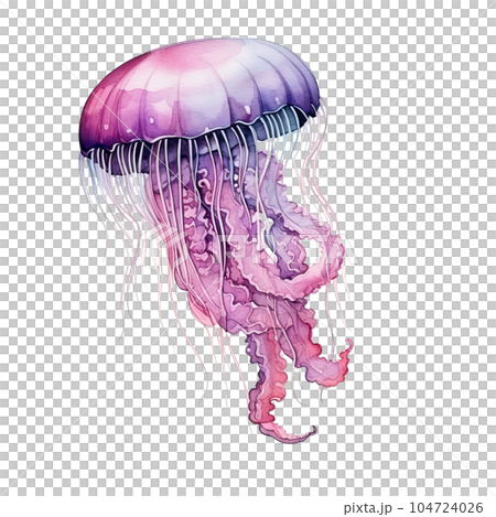 Watercolor jellyfish isolated. Illustration AI Generative 104724026