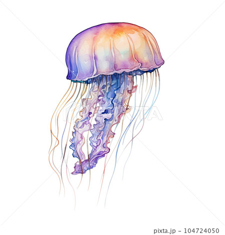 Watercolor jellyfish isolated. Illustration AI Generative 104724050