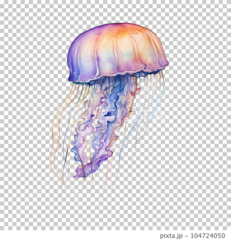 Watercolor jellyfish isolated. Illustration AI Generative 104724050