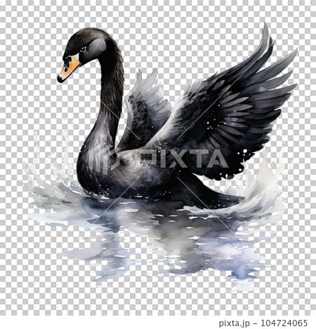 Black swan watercolor. Illustration AI Generative 104724065