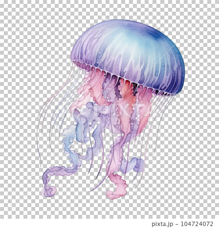 Watercolor jellyfish isolated. Illustration AI Generative 104724072