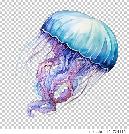 Watercolor jellyfish isolated. Illustration AI Generative Watercolor jellyfish isolated. Illustration AI Generative 104724113