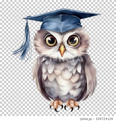 Watercolor owl in graduation cap. Illustration AI Generative Watercolor owl in graduation cap. Illustration AI Generative 104724126