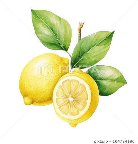 Watercolor lemon isolated. Illustration AI Generative 104724190