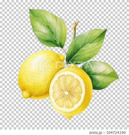 Watercolor lemon isolated. Illustration AI Generative Watercolor lemon isolated. Illustration AI Generative 104724190