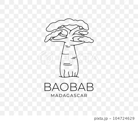 Madagascar african baobab, national park and savannah, nature, trees and plant, linear graphic design. Forest, savanna, flora, landscape and environment, vector design and illustration 104724629