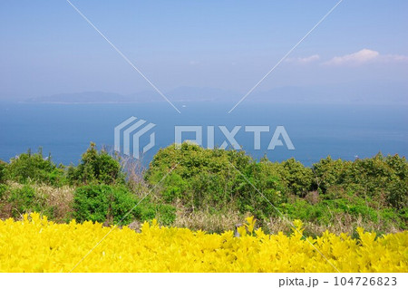 香川県高松市 あじ竜王山公園から小豆島を望む 香川県高松市 あじ竜王山公園から小豆島を望む 104726823