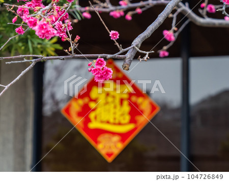 春節(中国の正月) 春節(中国の正月) 104726849