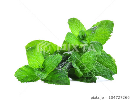 mint leaf isolated. fresh mint on white background mint leaf isolated. fresh mint on white background 104727266