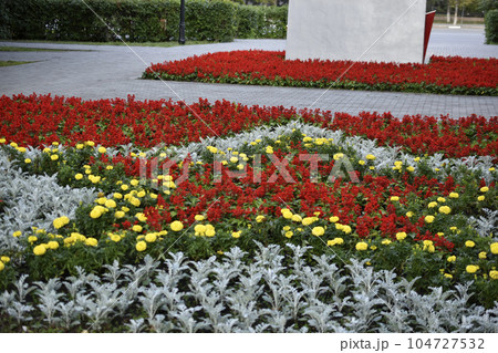 Flower beds in the memorial Park. Beautiful park flowers. Flower beds in the memorial Park. Beautiful park flowers. 104727532