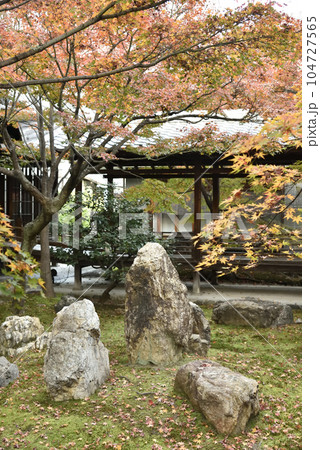 秋の潮音庭 建仁寺 秋の潮音庭 建仁寺 104727565