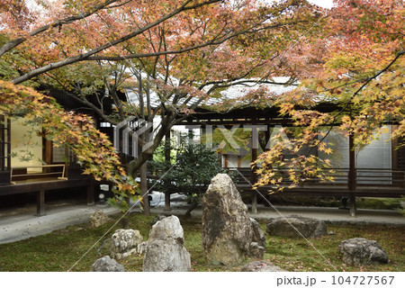 秋の潮音庭 建仁寺 秋の潮音庭 建仁寺 104727567