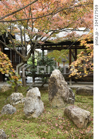 秋の潮音庭 建仁寺 秋の潮音庭 建仁寺 104727569