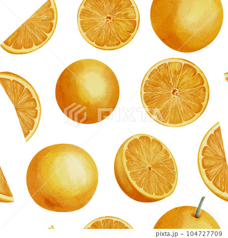 Orange Fruit Seamless Pattern. Hand drawn print with Slices of citrus food on white isolated background. Illustration of ornament with tangerine Circles for wrapping paper. Mandarin for juice label. 104727709
