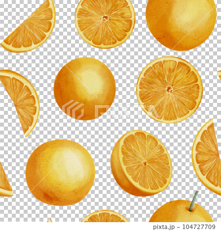 Orange Fruit Seamless Pattern. Hand drawn print with Slices of citrus food on white isolated background. Illustration of ornament with tangerine Circles for wrapping paper. Mandarin for juice label. 104727709