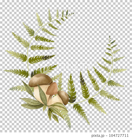 Forest greenery round frame with Fern and mushrooms. Hand drawn watercolor illustration of Wreath woodland plants on white isolated background. Drawing of green leafy border. Template for cards. 104727711