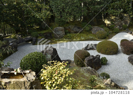 元信の庭　退蔵院 104728118