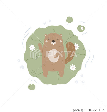 Top view illustration of a funny beaver floating in the pond Top view illustration of a funny beaver floating in the pond 104729153