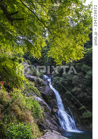 佐賀県/ 新緑が美しい見帰りの滝 104729972